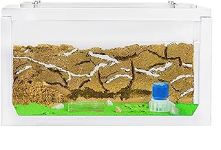 Anthouse. ES - Natural Anthill Fish Tank 3D - Sand Anthill with Cologne Included - Complete Kit with Queen and Workers + Sand and Accessories - Home Model 20x10x10cm - White