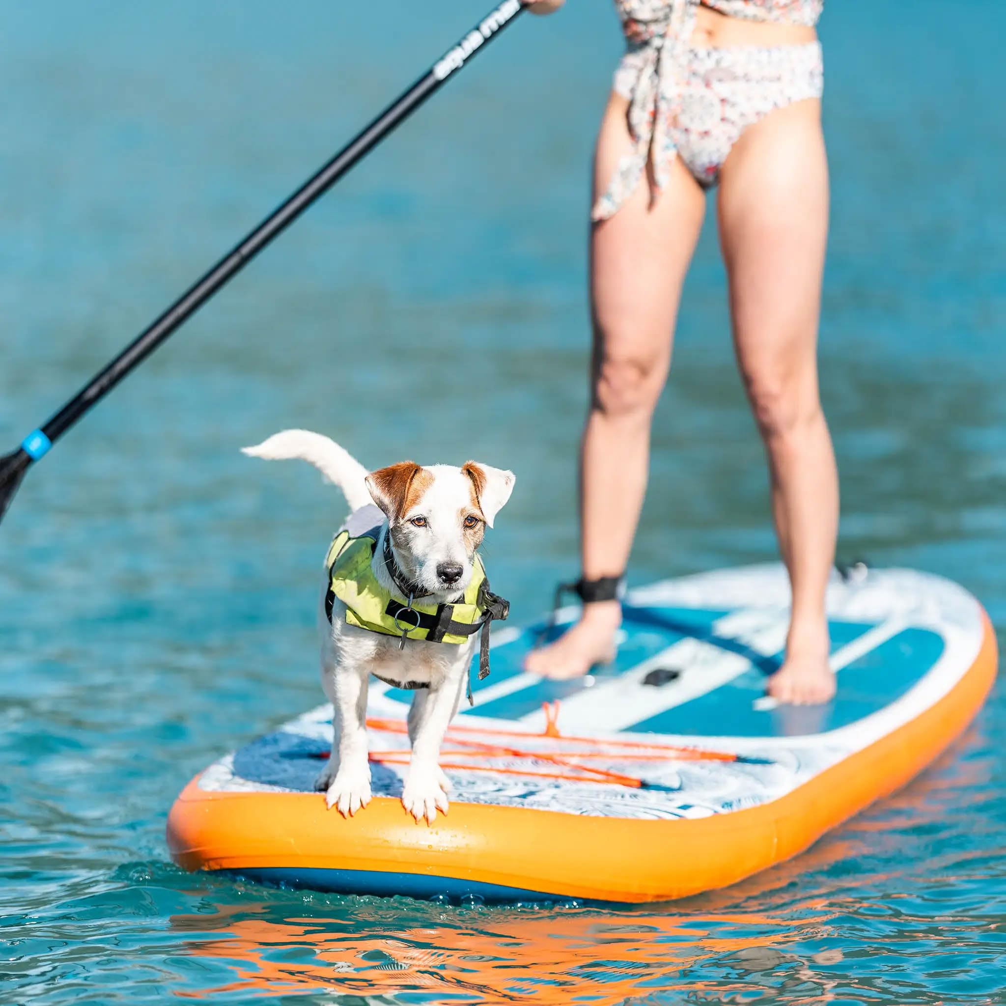 Aqua Marina Pure Air - Tavola da surf gonfiabile per principianti ed esperti, con accessori
