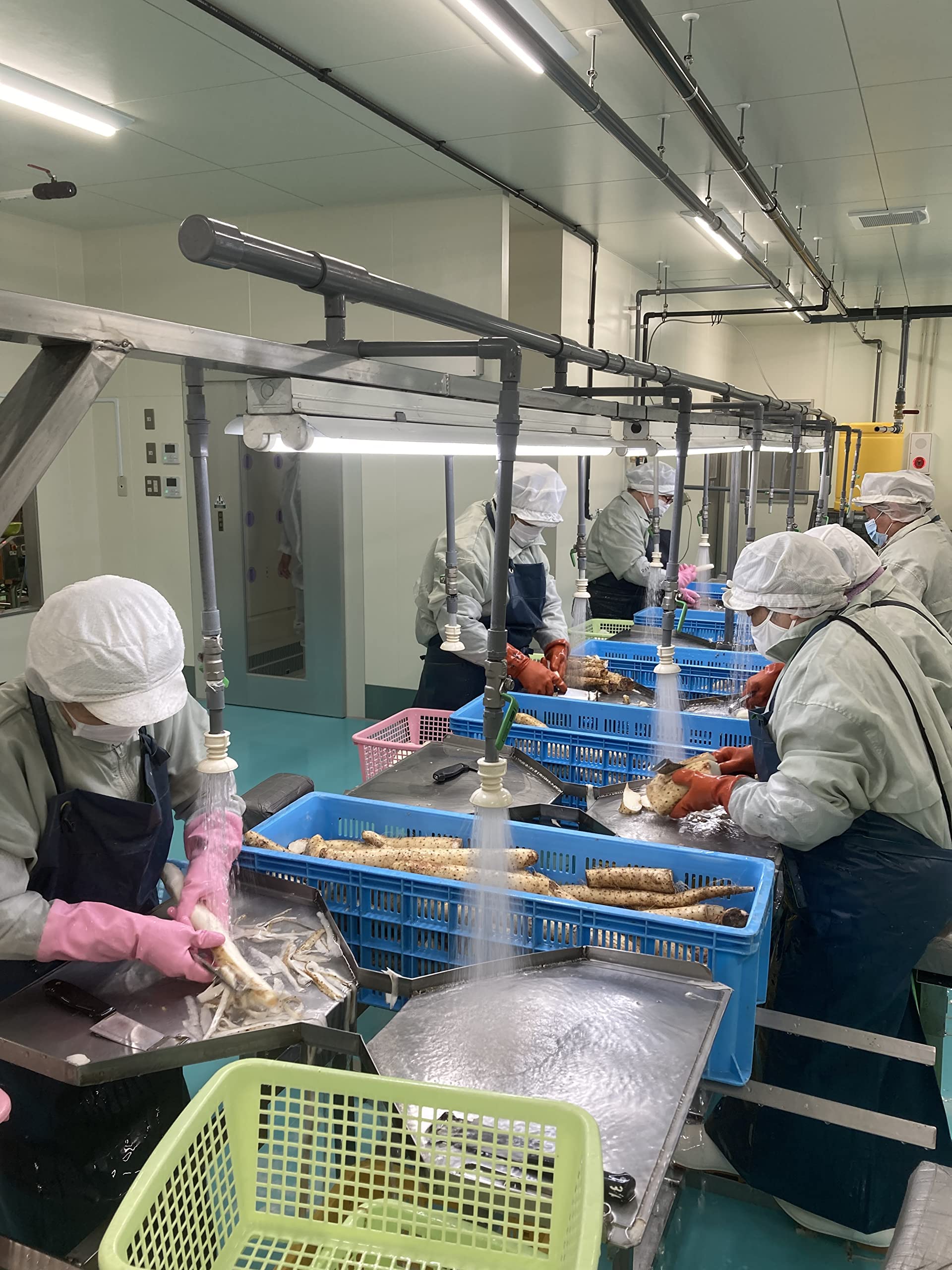 Amazon.co.jp: 国産味付ながいもとろろ 焼津産かつおだし使用 冷凍 