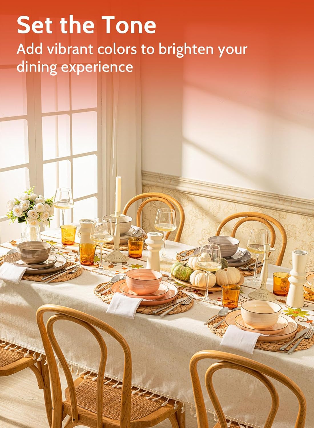 best quality plates best quality plates