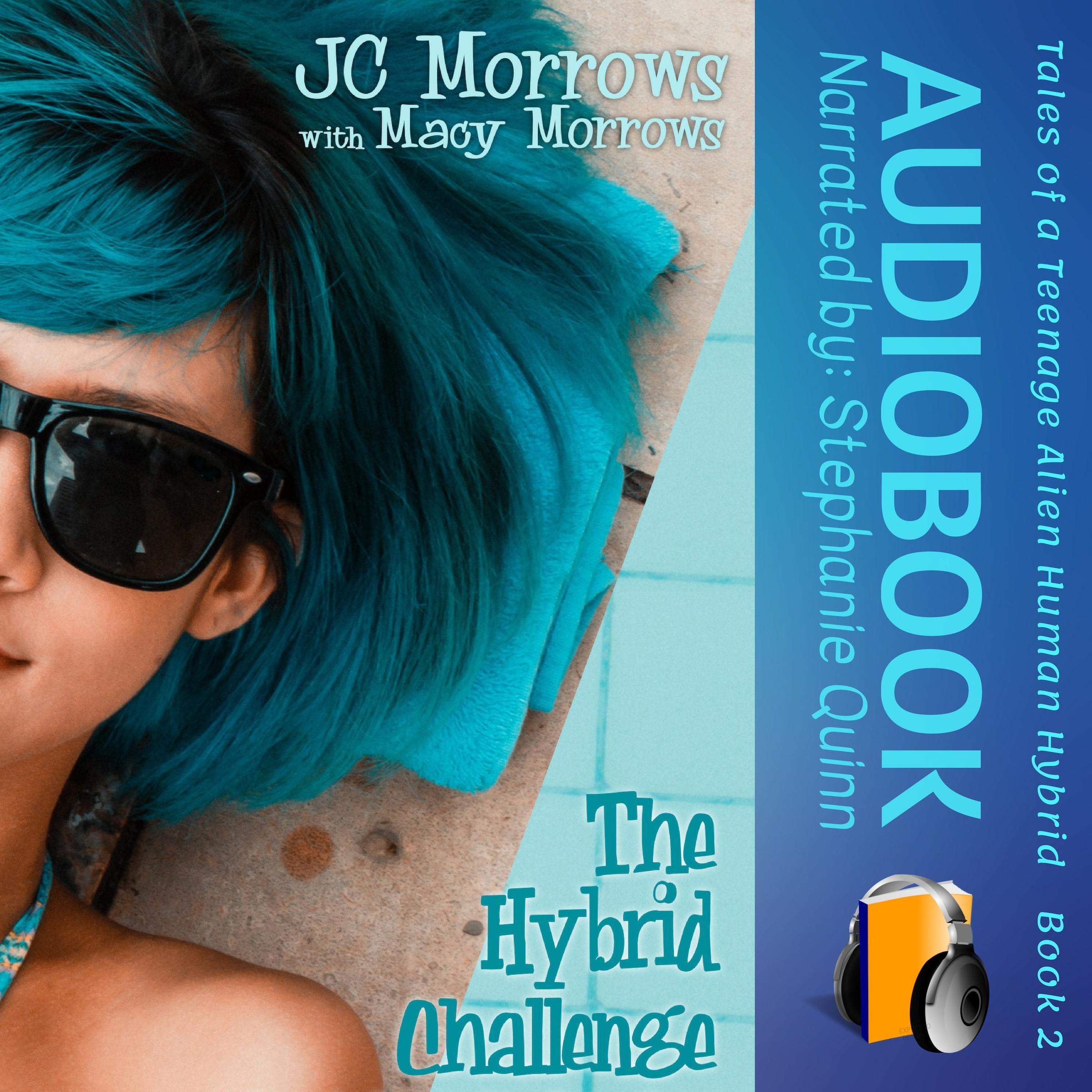 Cover art for The Hybrid Challenge