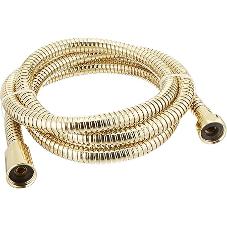 Moen A726p Hand Shower 69 Inch Double Lock Hose Polished Brass Hand Held Showerheads Amazon Com