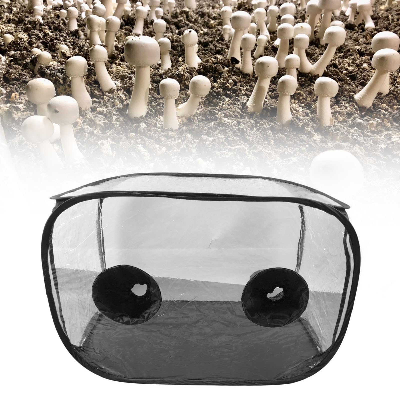 Still Air Box, Kit de Culture de Champignons pour Sacs de Culture de Champignons, Scientifiques à Domicile, Producteurs de Champignons, Tente de Culture de Champignons, Kit de