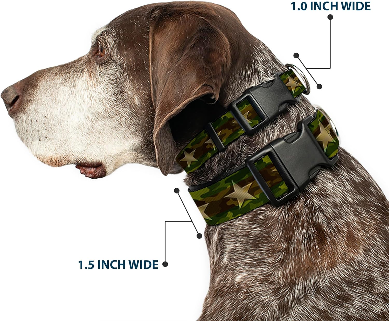 Buckle-Down Plastic Clip Collar - Star Camo Olive/Gold - 1.5" Wide - Fits 16-23" Neck - Medium