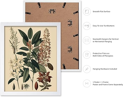 Miniatura 106 de Poster Master Póster vintage de orquídea, estampado de flores retro, arte de pared de plantas exóticas, arte botánico, regalo para hombres y