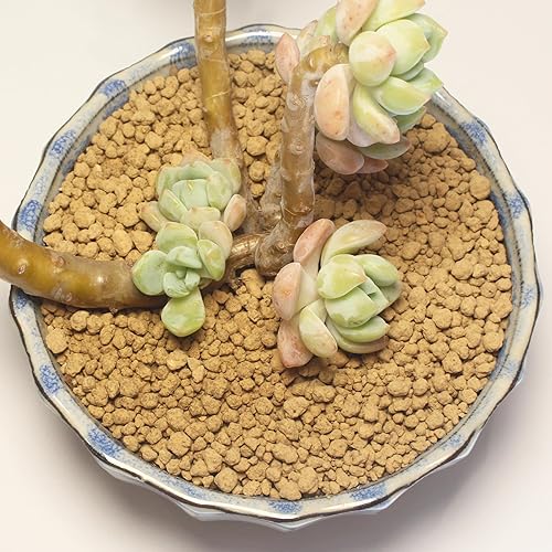 Miniatura 6 de Suelo de Bonsái Akadama Duro de 6 Libras, Grano Pequeño de 3-6mm para Cactus, Suculentas, Enmienda de Suelo para Plantas de Bonsái, Previene el