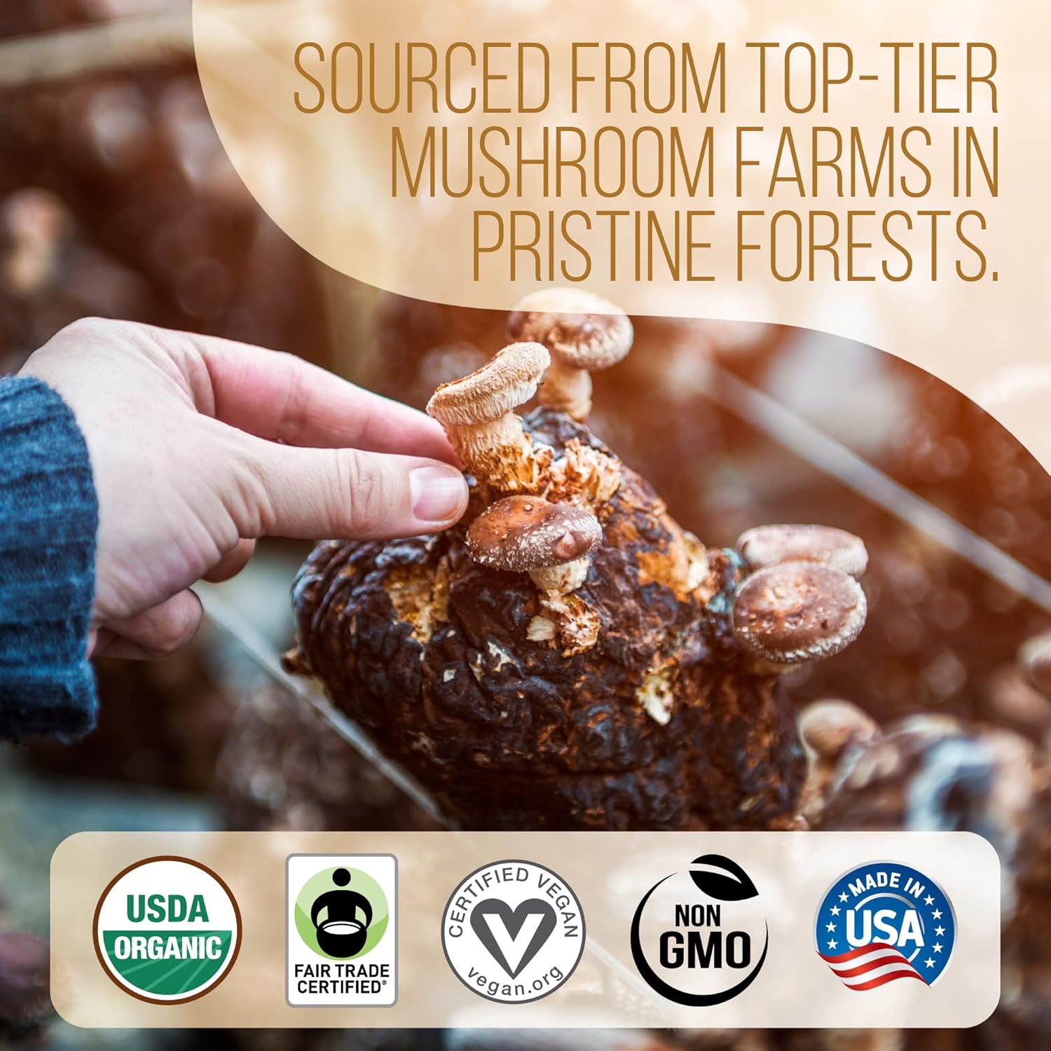 La Republica Ground Mushroom Coffee, Organic Fair Trade Arabica with Superfood Mushrooms (Medium Roast, 60 Servings) - Image 5