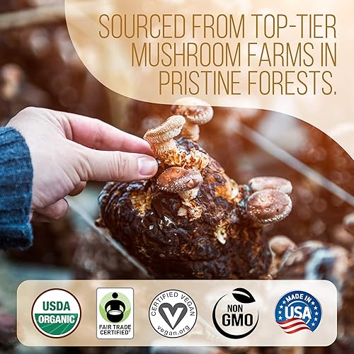 Miniatura 5 de La Republica - Café de hongos molidos, orgánico y de comercio justo arábica con 7 setas superalimentarias con cuerpos fructíferos, melena de león,