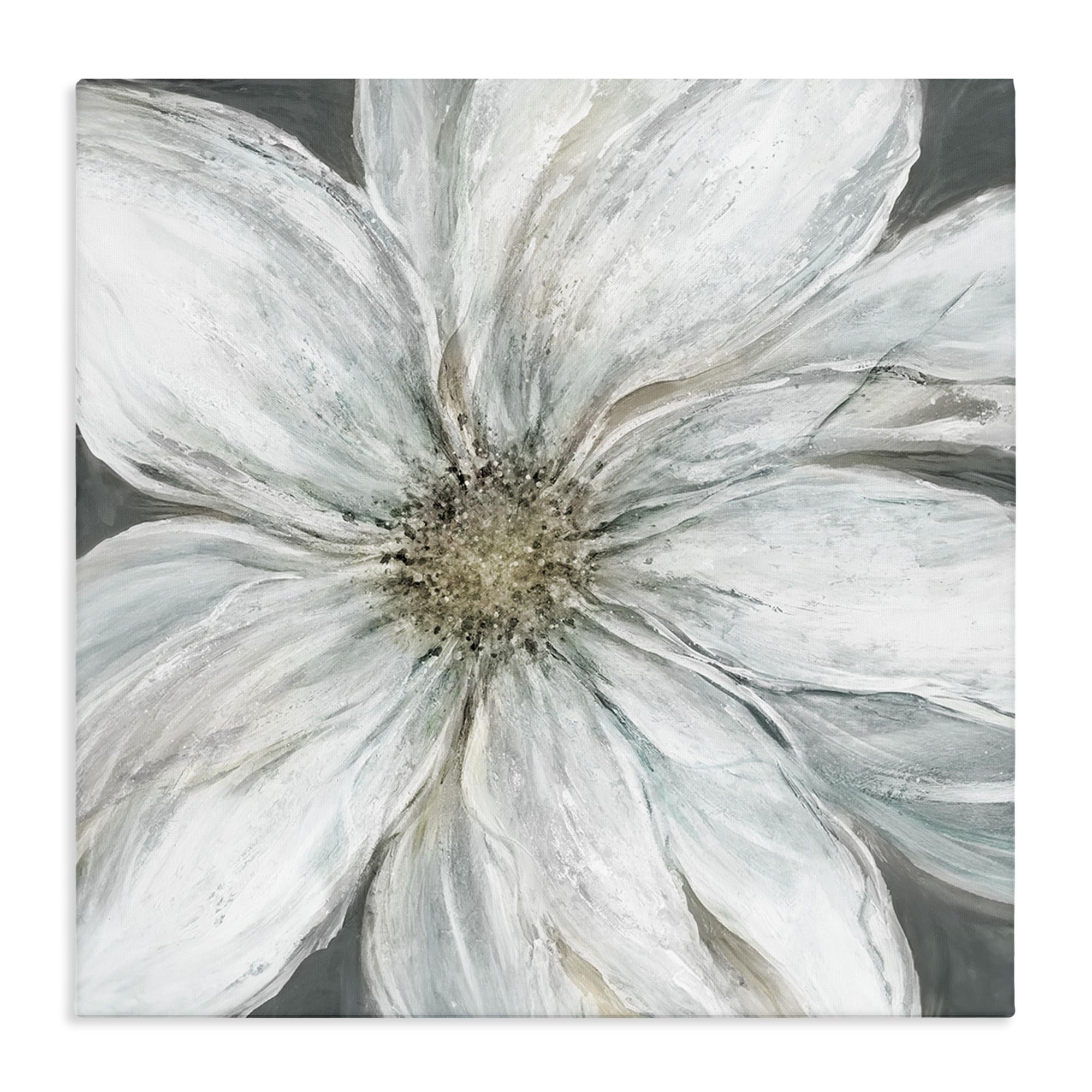 Stupell Industries 'Large White Flower Closeup', Canvas Art, 30 x 30 Inches, Easy to Hang and Sturdy, Made in USA, by Carol Robinson
