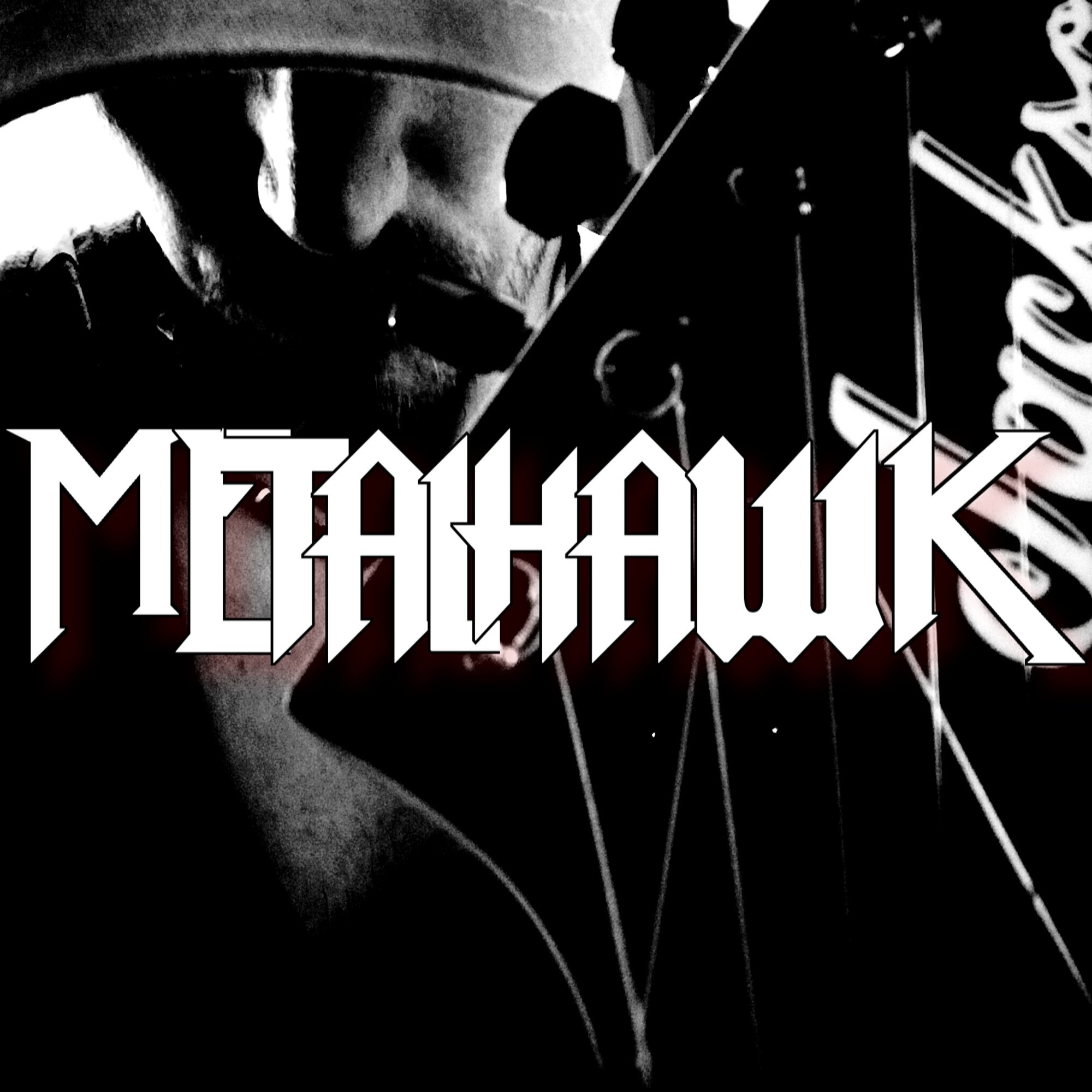 METALHAWK