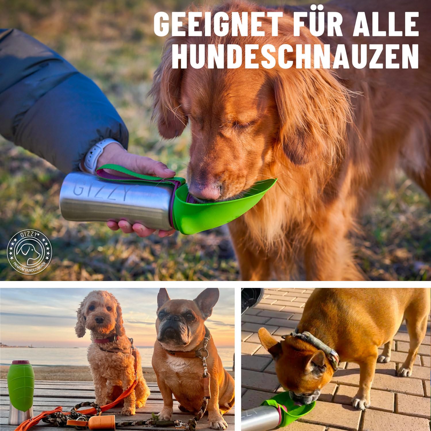 GIZZY® Trinkflasche Hunde für unterwegs - auslaufsicher & robust aus Edelstahl, in 2 Größen inkl. weichem Hundehandtuch | Trinkflasche Hund I Hundetrinkflasche für unterwegs für alle Hunde