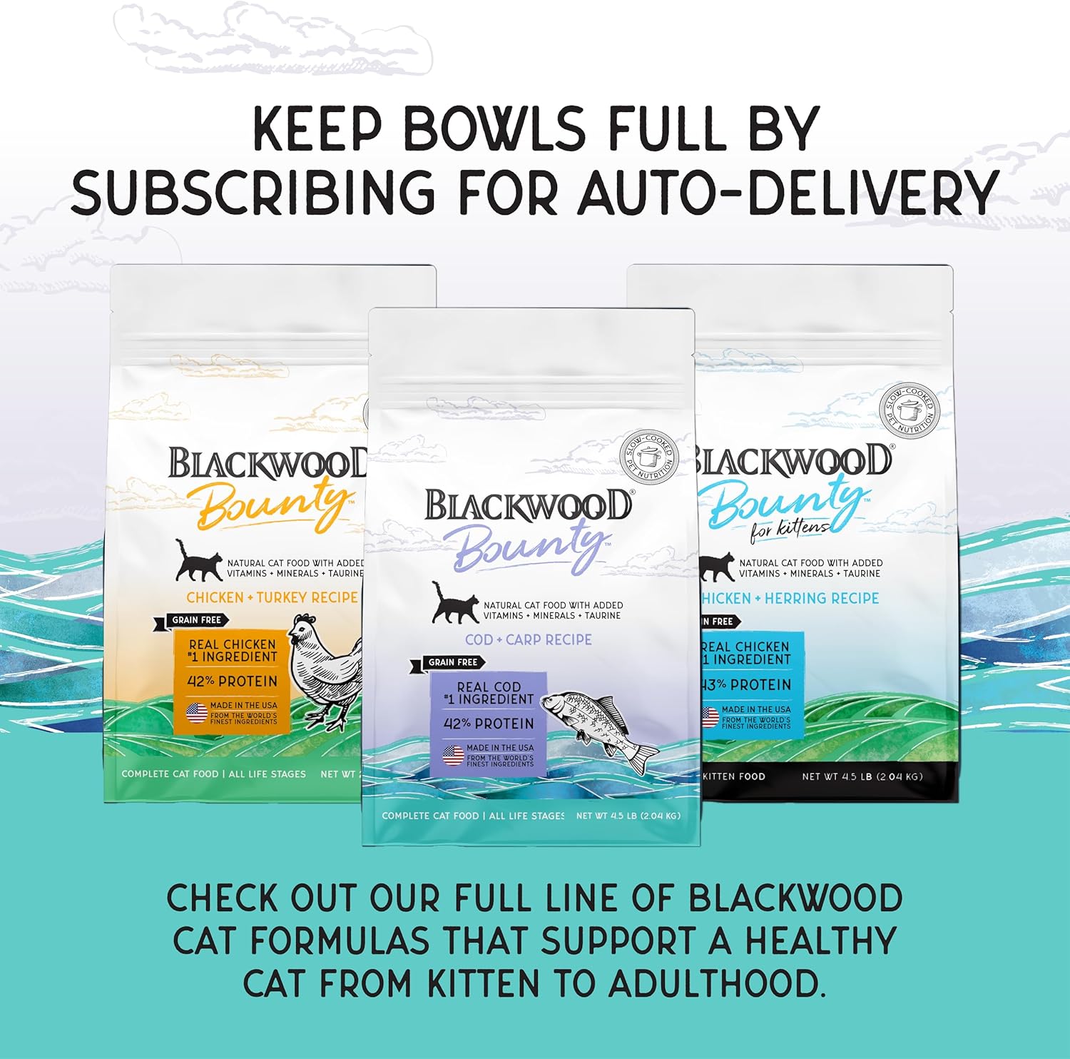 Blackwood Bounty Dry Cat Food, Cod & Carp Recipe for All Life Stages, 4.5 Pound Bag, High Protein, Grain Free
