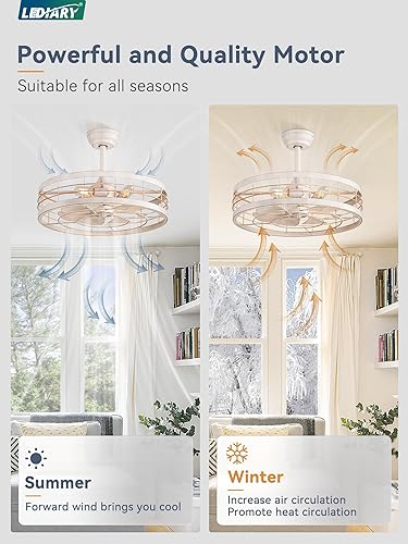 Miniatura 38 de LEDIARY Ventilador de techo enjaulado Fandelier de 20 pulgadas con luz, ventilador de techo sin aspas con control remoto, pequeñas luces de Negro y