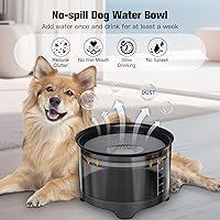 Vista 3 de UPSKY Tazón de agua para perros, de 5.5 L, gran capacidad, sin derrames, cuenco de agua para perros, a prueba de salpicaduras, con base elevada