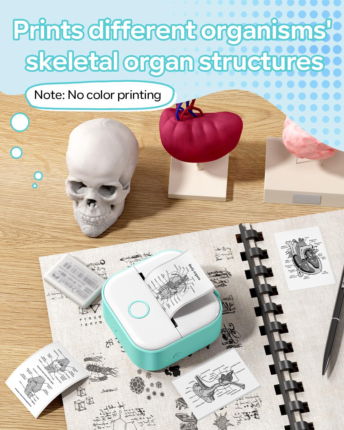 T02 Imprimante Thermique,Mini Imprimante Portable,imprimante Sans Encre Mini Pour iPhone&Android,Adaptée À L’Impression De Diagrammes Squelettiques/Formules Mathématiques/Mots Anglais,3 Rouleau,Vert