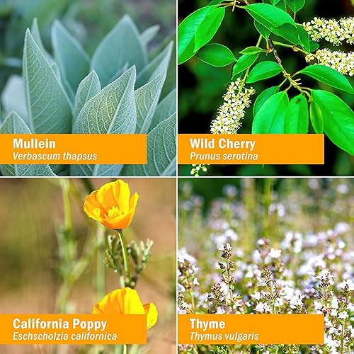 Miniatura 3 de Herb Pharm Fórmula herbaria líquida para la tos cruzada sin alcohol con certificación orgánica para niños, cereza silvestre, 1 onza líquida