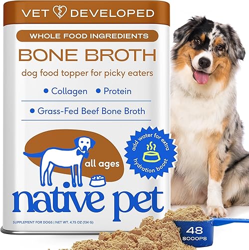 Native Pet Caldo de Huesos para Perros - Hecho con Caldo de Hueso de Res Real, Complementos Alimenticios para Perros Quisquillosos - Proporciona