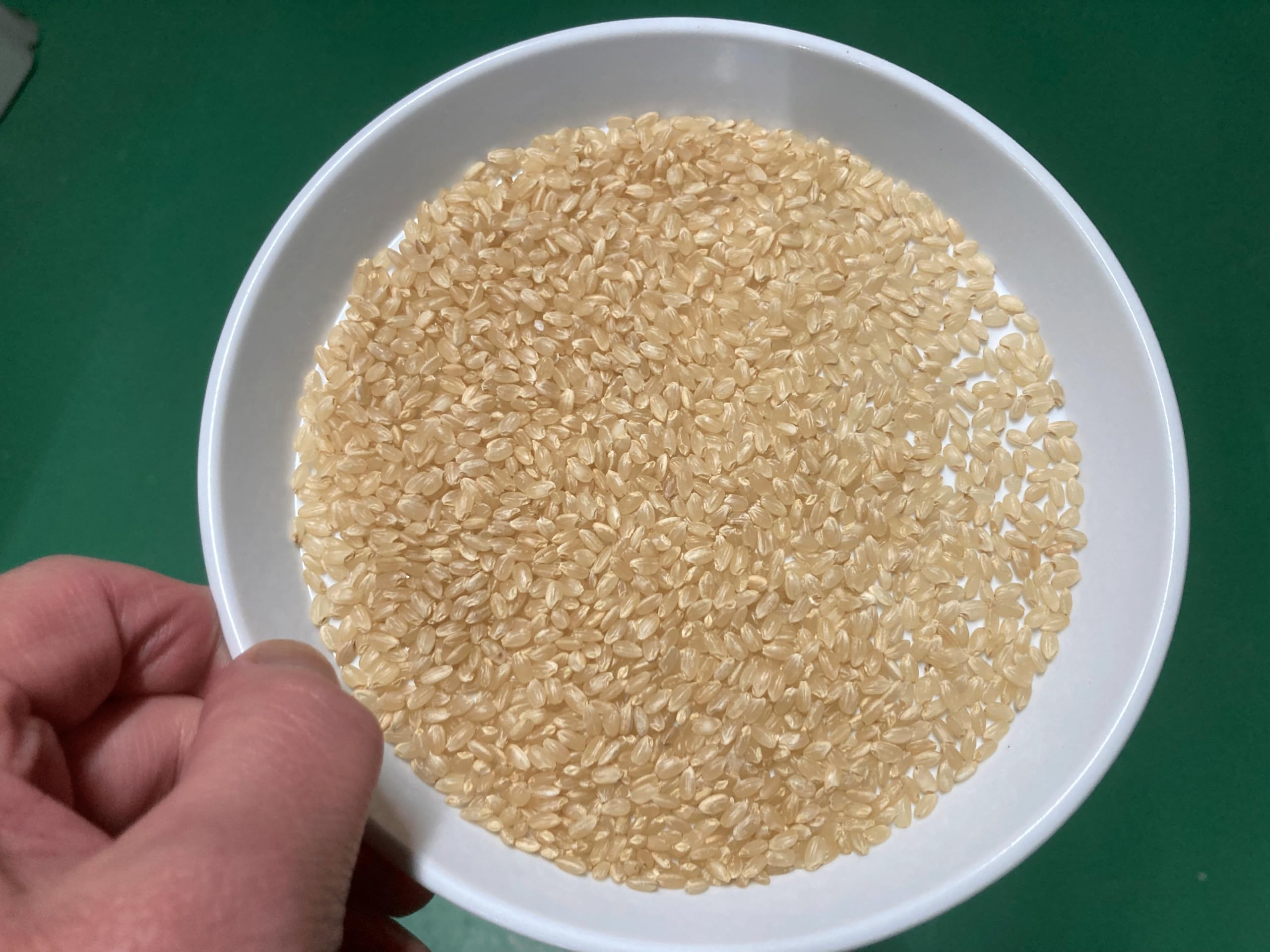 Amazon.co.jp: あきたこまち産直農場自然工房 【令和7年産 残留農薬不