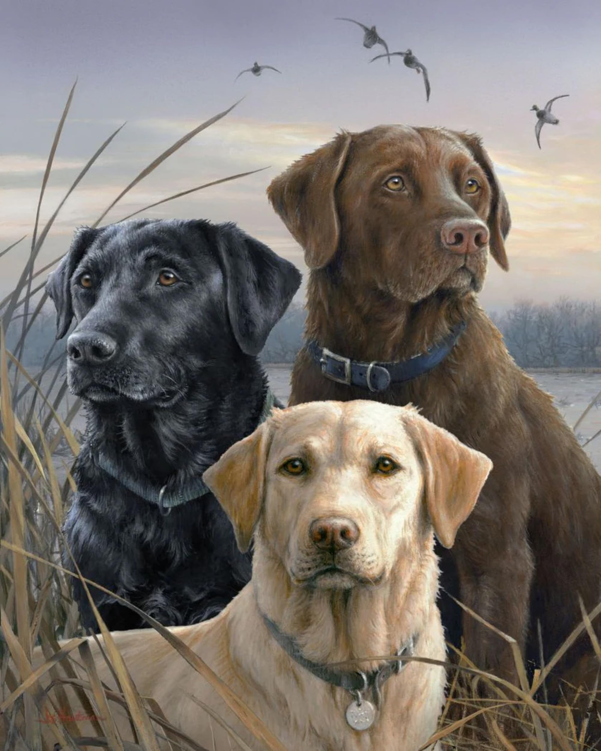 Xiangxujia Dog Diy Paint By Number For Adults,Painting By Number Kits On Canvas,Color By Numbers For Adult Beginner,Gifts Decor For Home Wall Room (Dog)