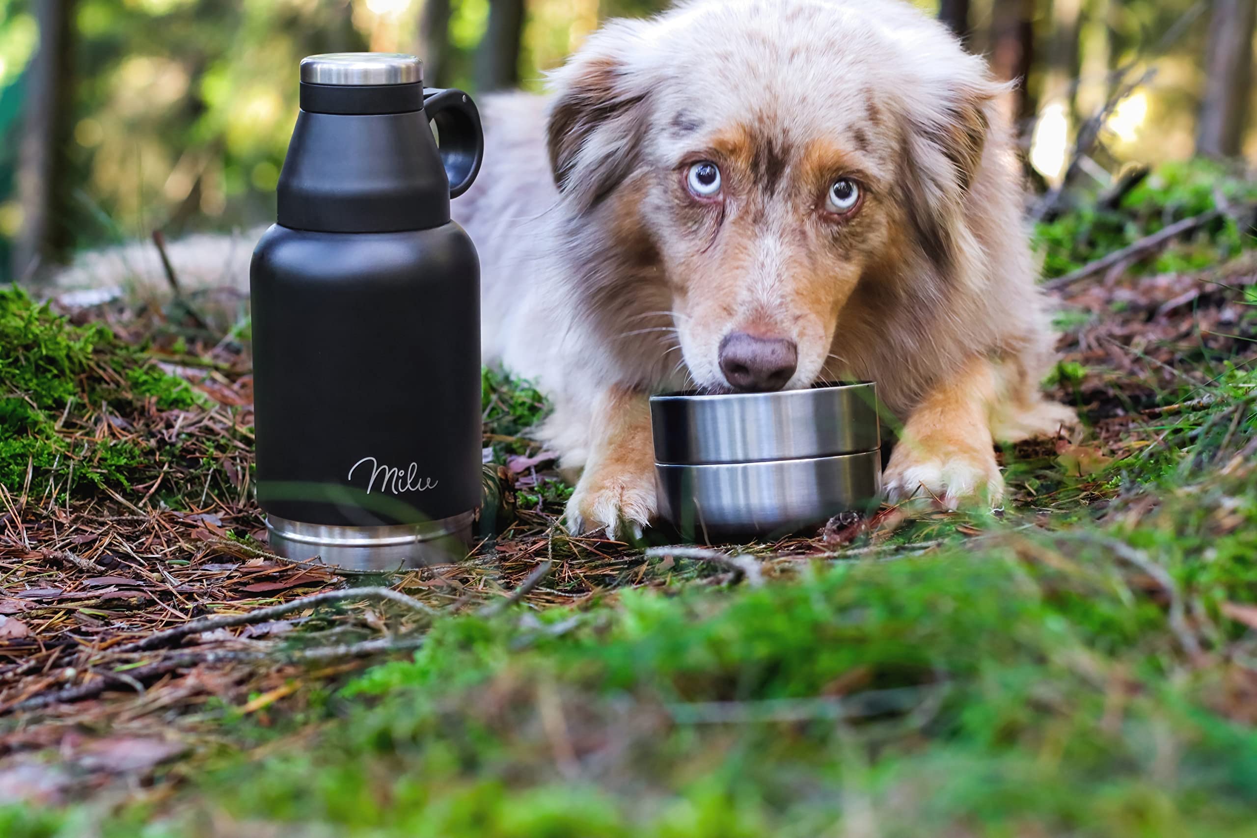 Milu Drinking Bottle Dogs On The Go 950ml - Botella de Agua con Cuenco de Comida, Botella aislada de Acero Inoxidable para Perros, Botella con contenedor de Comida, Perro, Senderismo, Viajes, Paseos