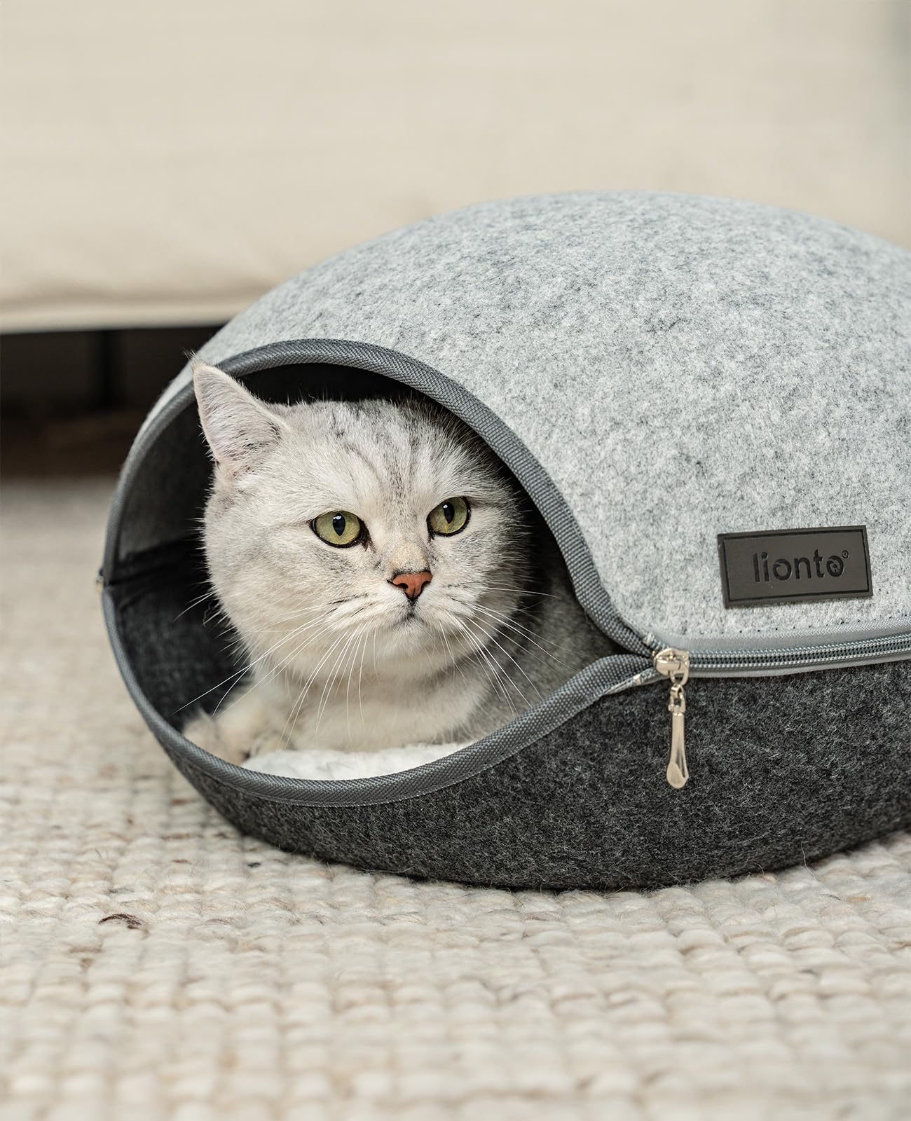 lionto Cuccia per gatti in feltro resistente con cerniera, tana accogliente 46x38x24 cm, letto moderno e confortevole con cuscino morbido e lavabile, grigio