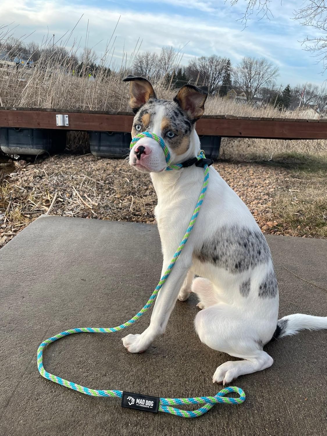 Mad Dog Products Easy Leader Dog Leash 1/2" x 10' Yellow Signature Rope - Made in USA