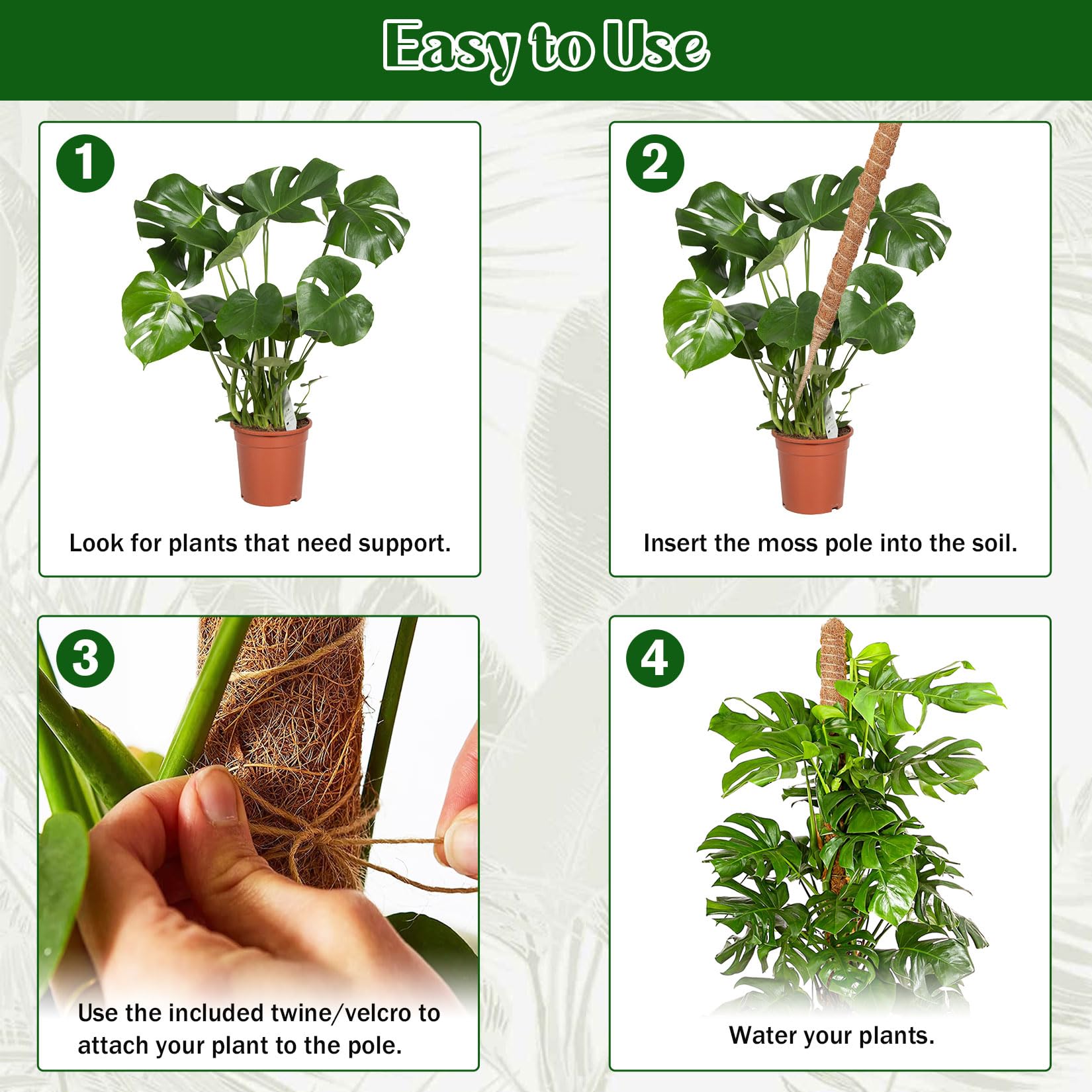 Monstera podpora do roślin pnących do roślin pnących do roślin pnących do wnętrz, 2 sztuki, 160 cm, drążek kokosowy Monstera, elastyczna pałeczka do mchu z akcesoriami
