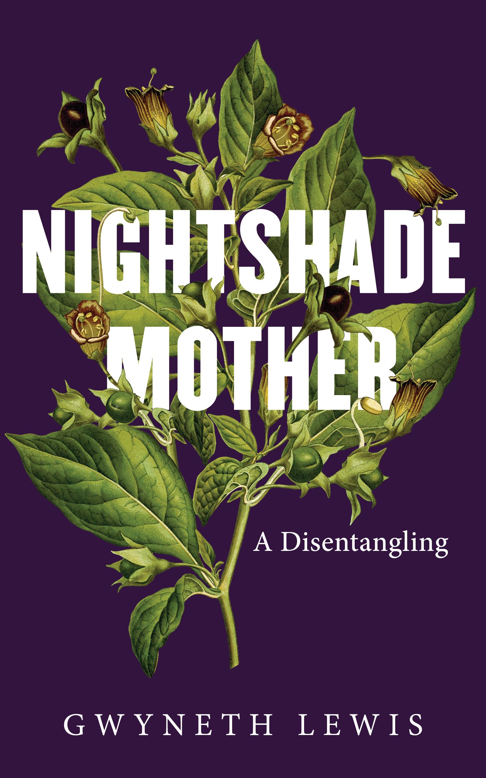 Gwyneth Lewis - Nightshade Mother - Hardback Book