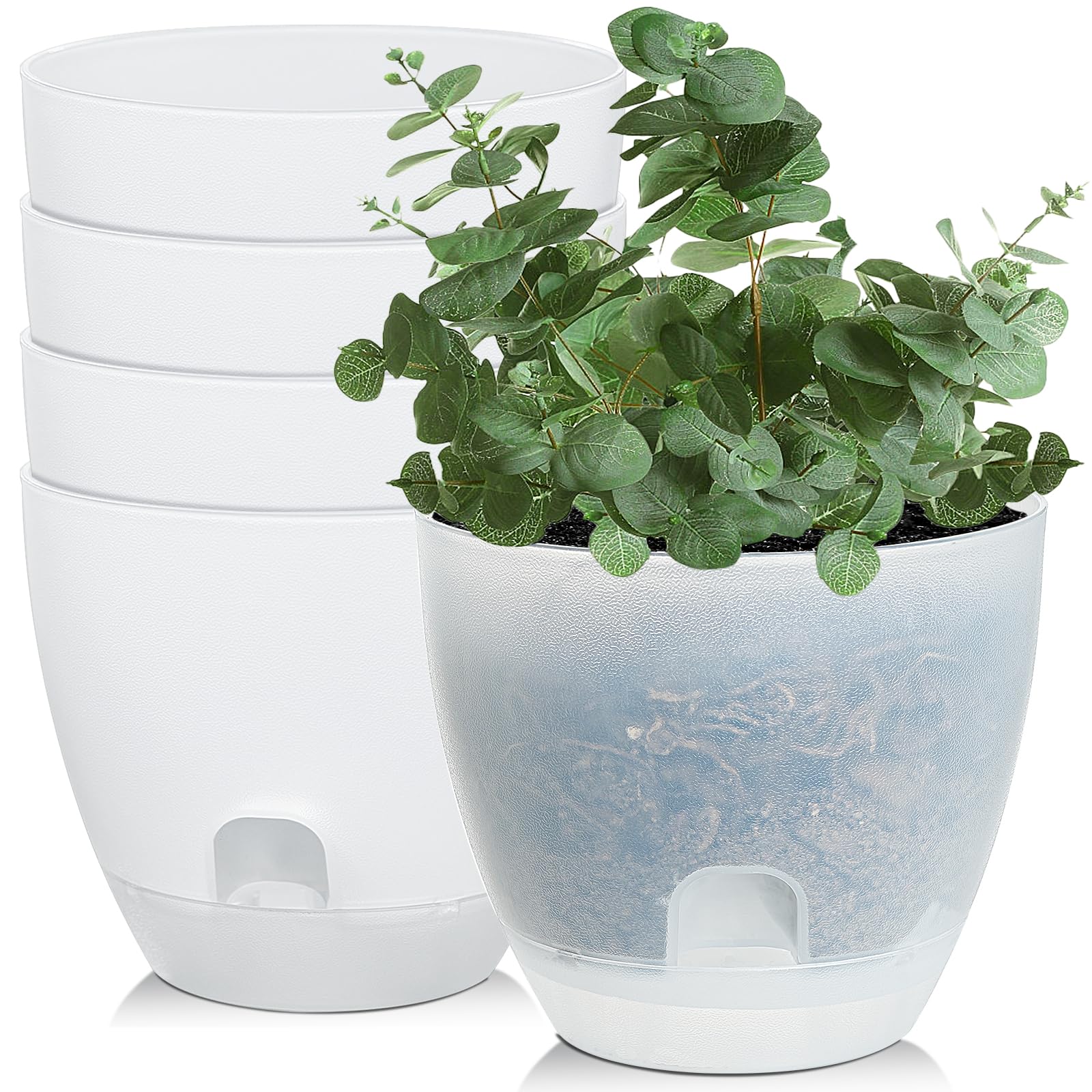 Snapklik.com : IWNTWY Plant Pots 6 Inch Set Of 5, Clear Self Watering ...