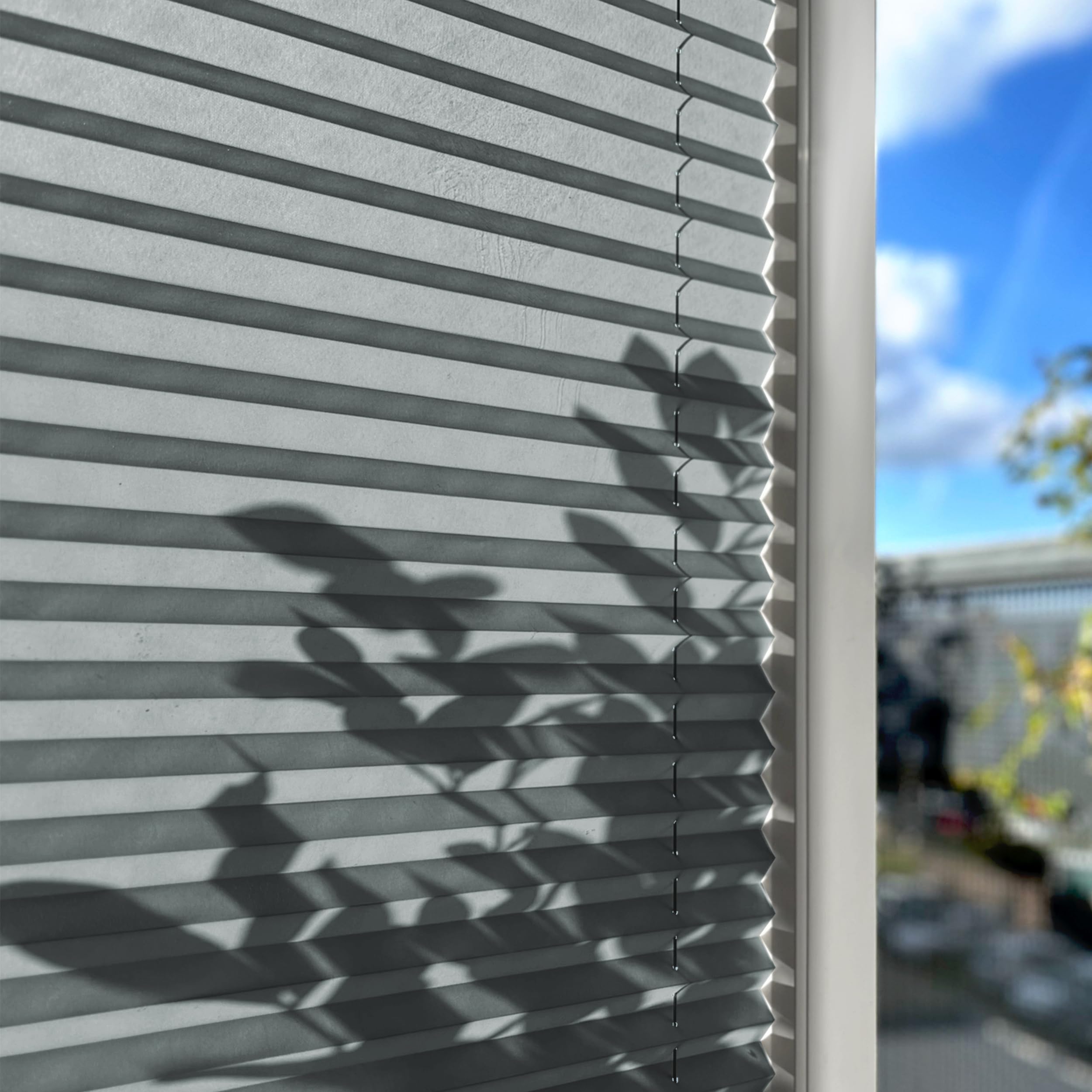 Rollmayer Plissee zum Kleben Faltrollo Binco Silber B90cm x H80cm | Plisseerollo Sichtschutz und Sonnenschutz für Fenster und Tür Premiumqualität für Zuhause
