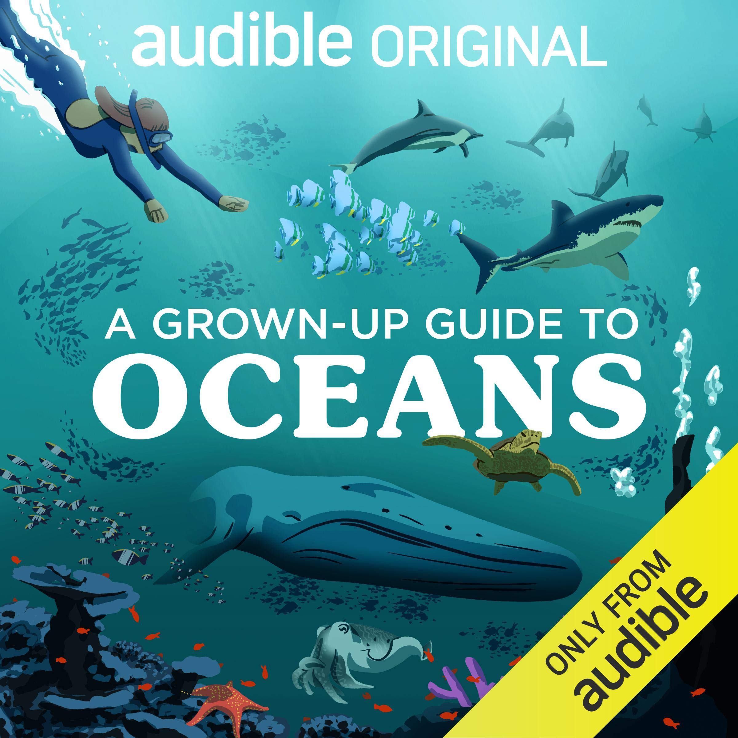 A Grown-Up Guide to Oceans