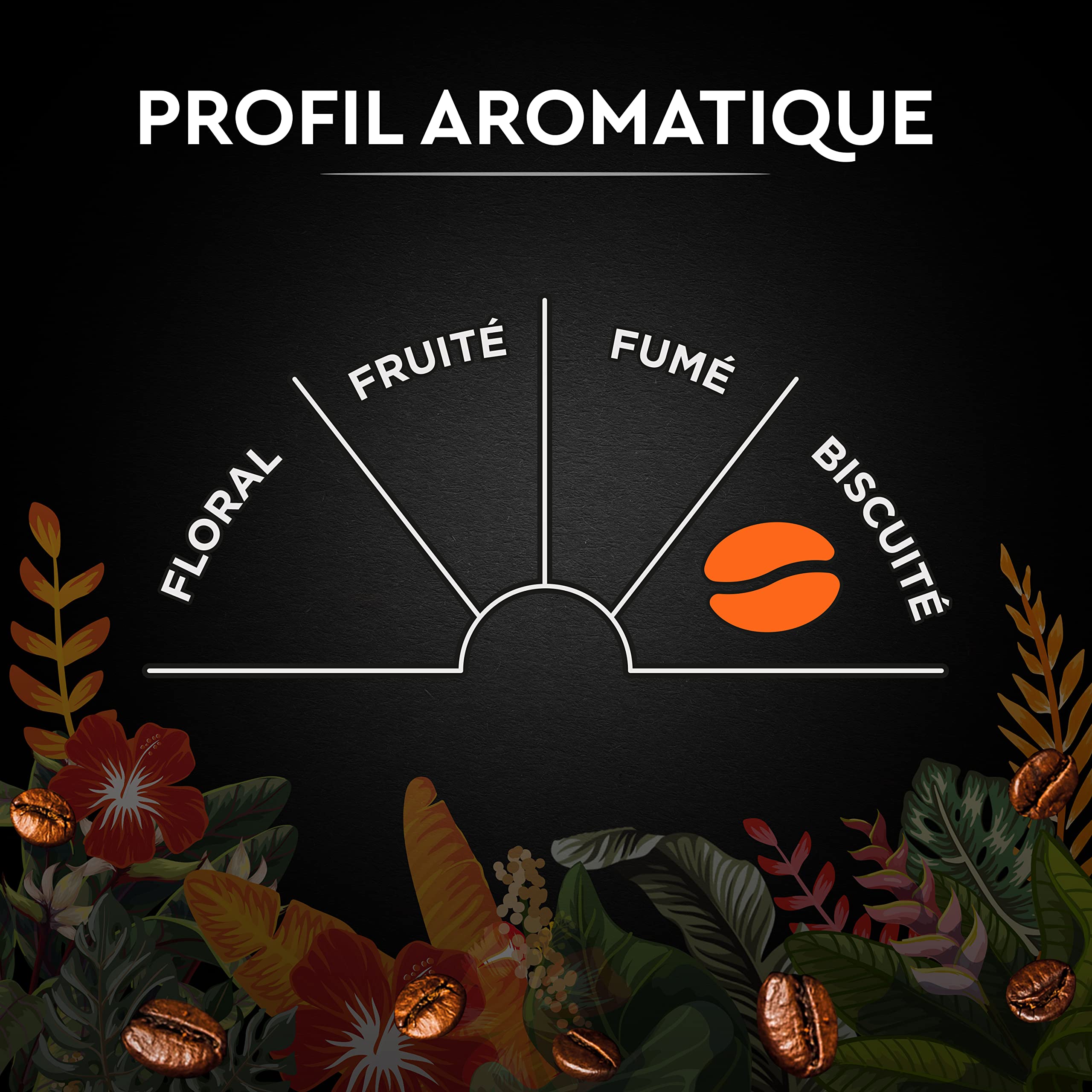 CARTE NOIRE - Café Grain Carte Noire Secrets de Nature - Catuai Romex - Certifié Rainforest Alliance - Paquet de 1 kg