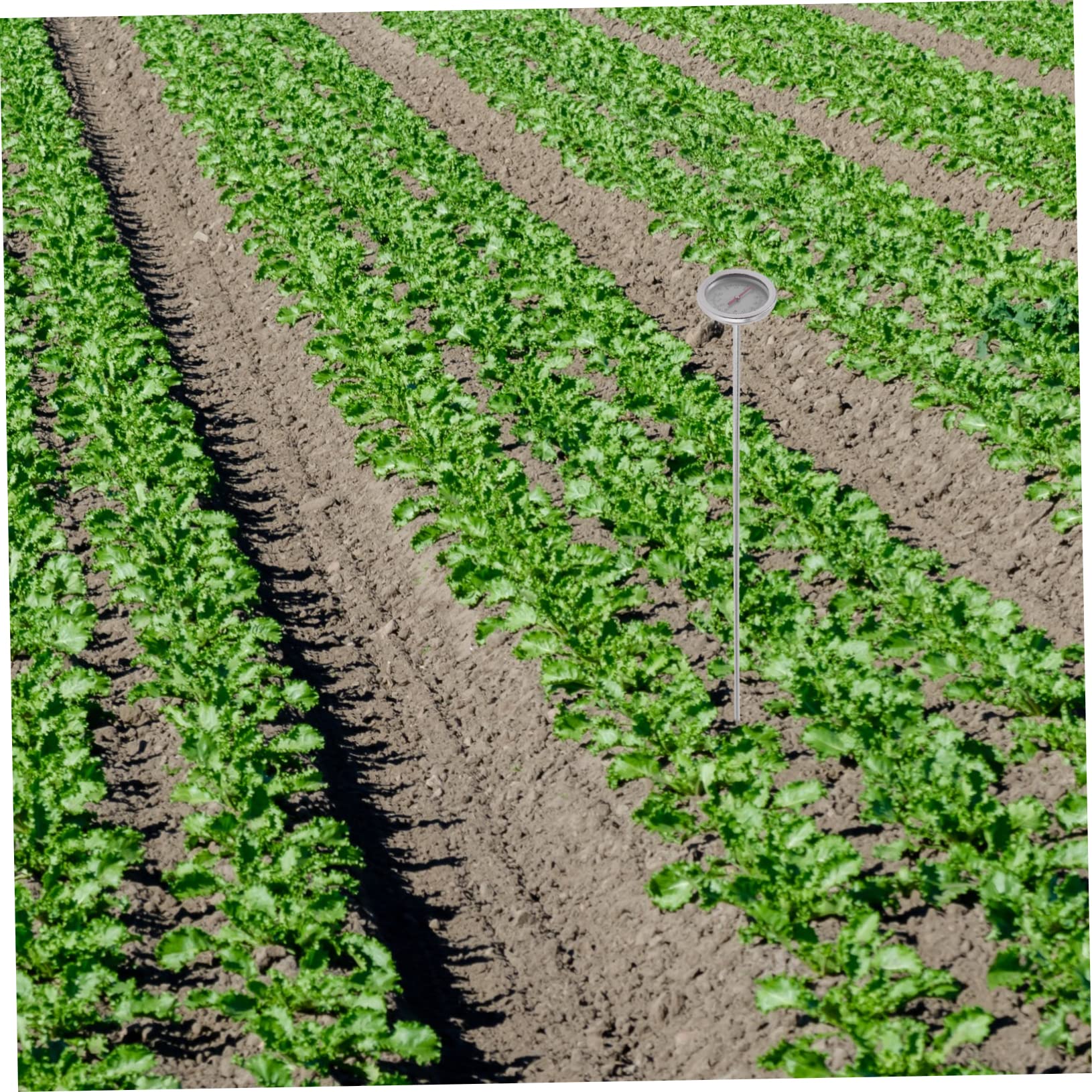 YARNOW 3pièces Thermomètre à Sol Acier Inoxydable pour Jardinage Outil De Détection De Température pour Compost Et Plantations