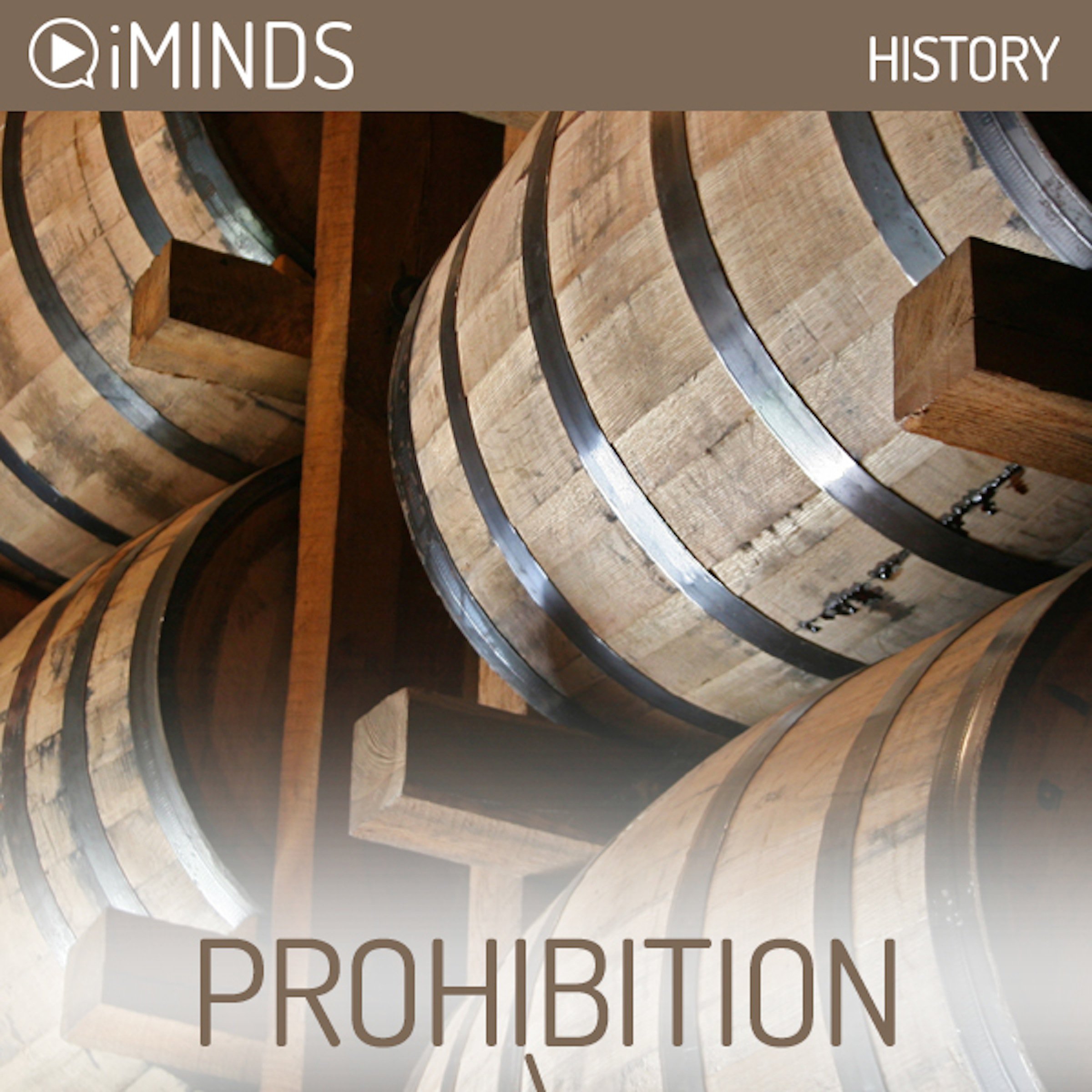Cover art for Prohibition