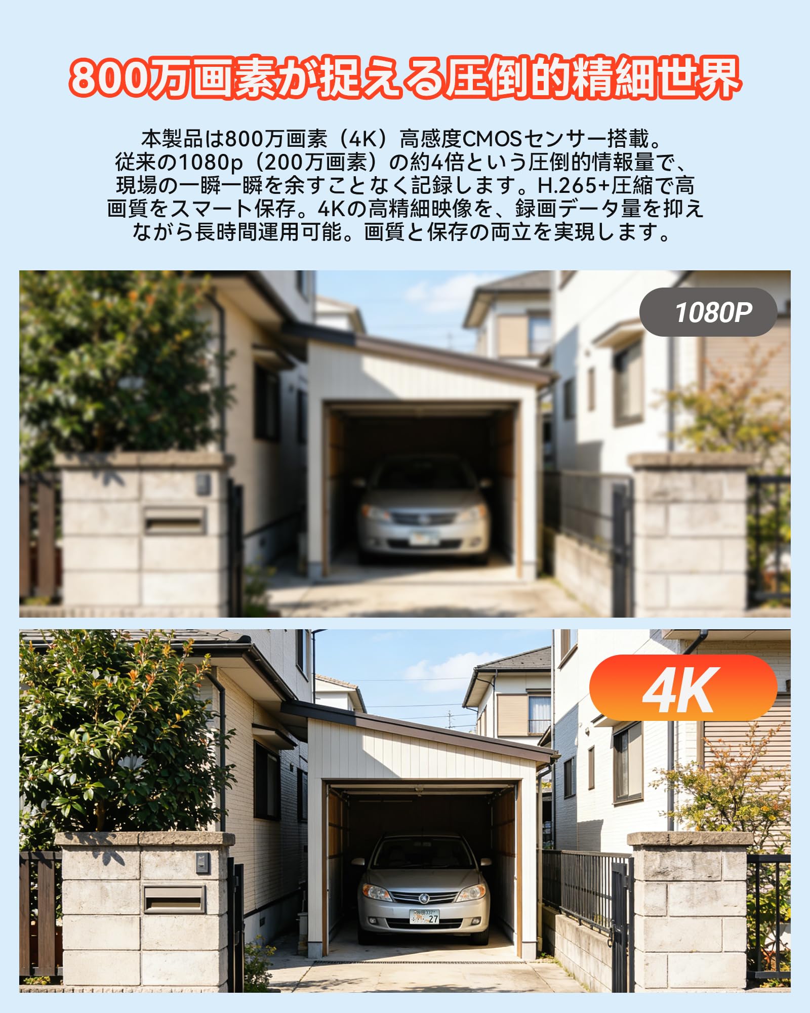 Amazon.co.jp: Anlapus