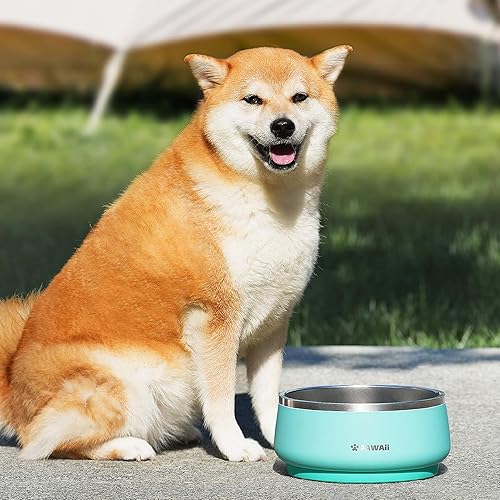 Miniatura 9 de Pawaii Cuenco de acero inoxidable para perros con base de goma antideslizante y aislamiento de doble pared, diseño duradero, incluye etiqueta de