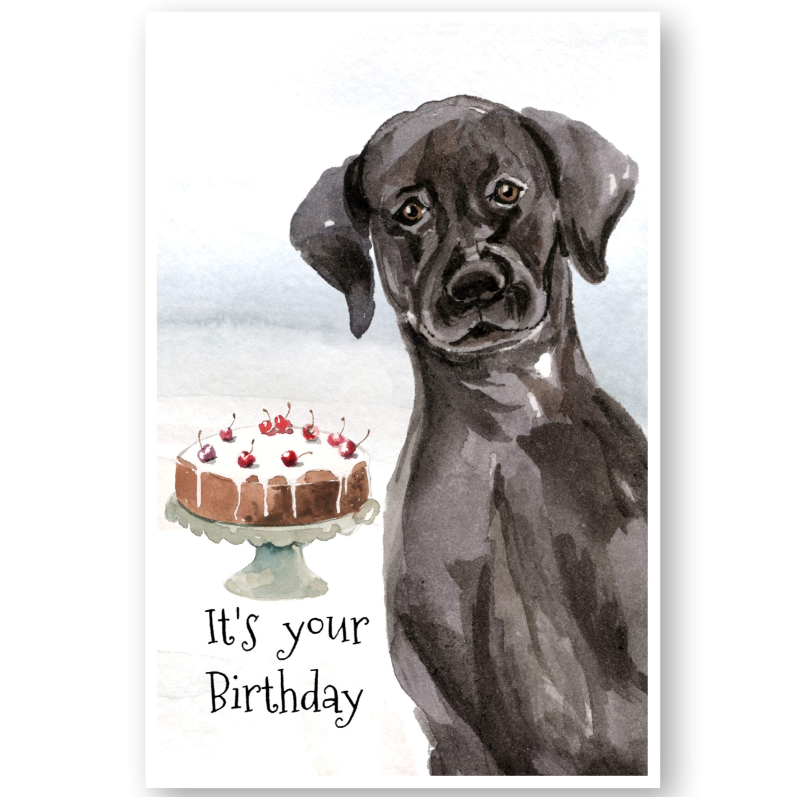 Buy Black Labrador Dog Birthday Card, Black Labrador Dog Greetings Card