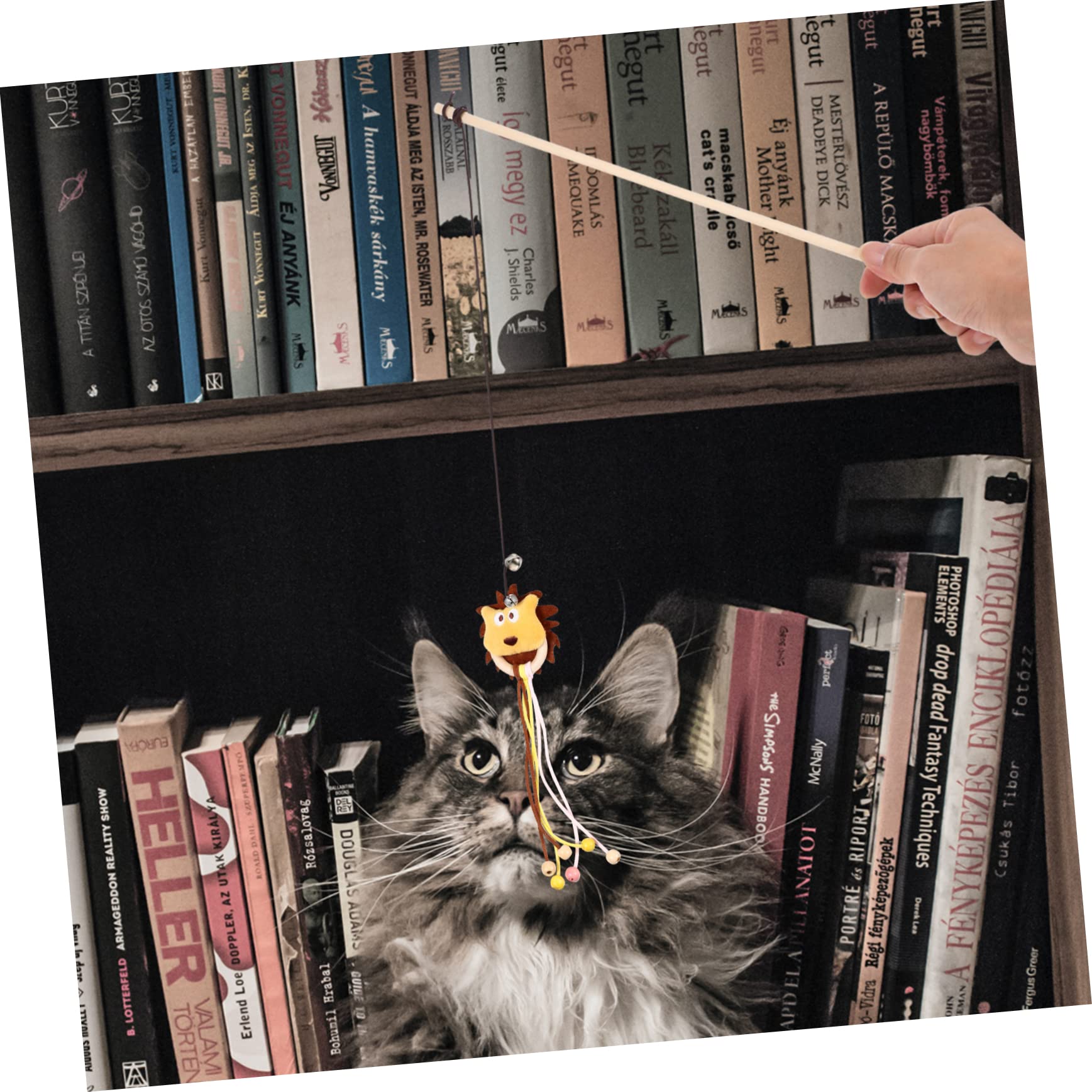 Supvox 10stücke Katzenangel Spielzeug Mit Interaktive Teaser-stäbe Für Katzen Und Kätzchen Indoor-katzenspielzeug Aktivität Und Spielspaß