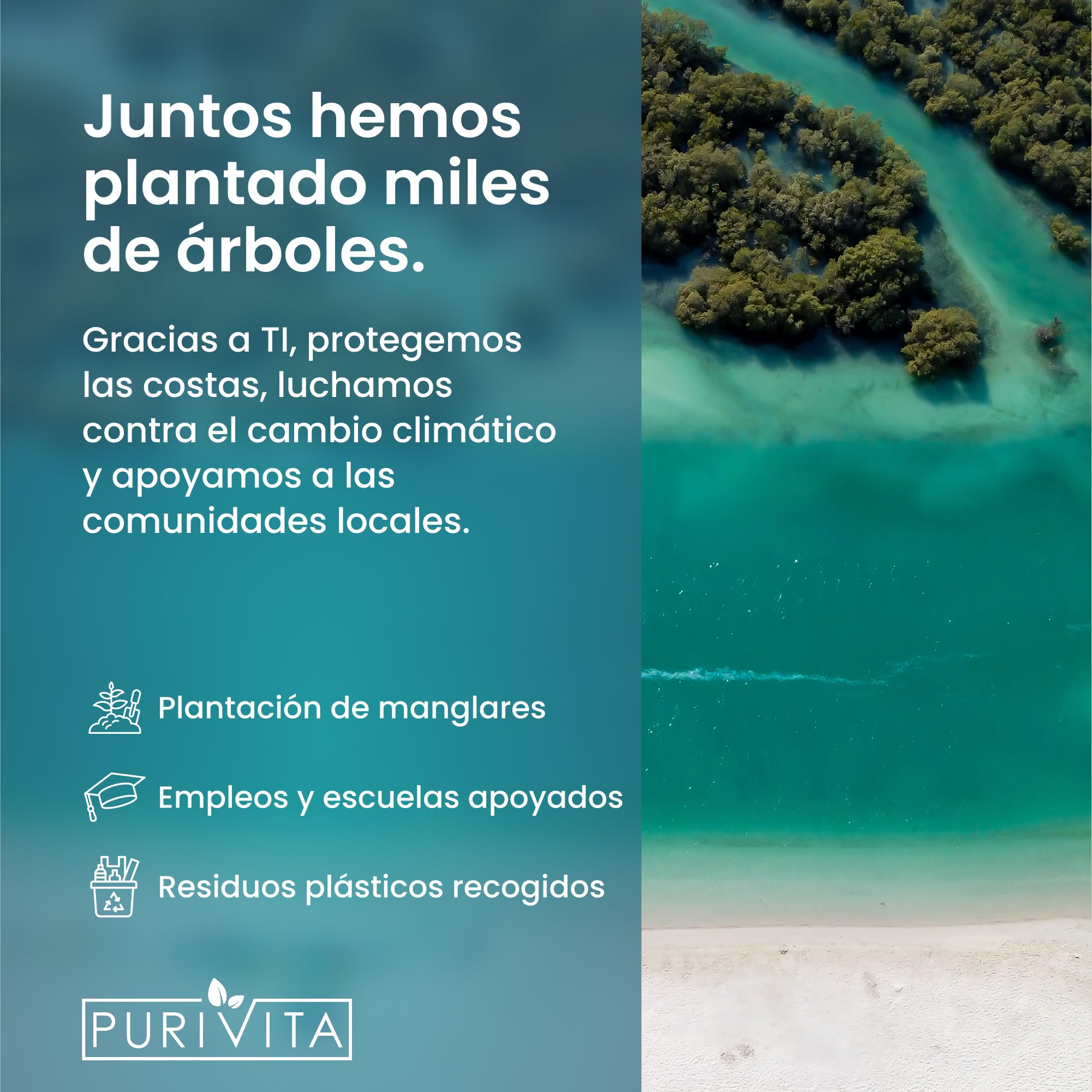 PURIVITA® Universale Liquido para Ultrasonidos Limpieza 500ML - Limpiador Ultrasónico - Ultrasonic Cleaner