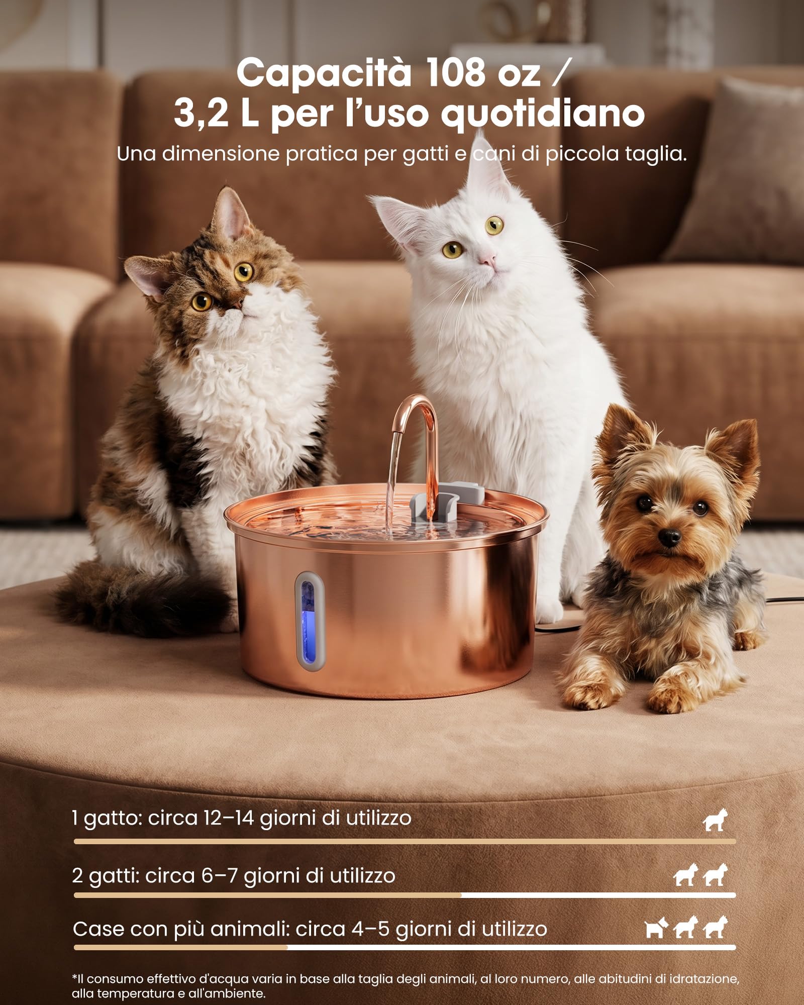 Kittyspout Fontana per gatti da 3,2 l, in acciaio inox, con 3 filtri e finestrella | Fontana particolarmente silenziosa per gatti e cani di piccola taglia, con delicata illuminazione a LED, superficie in rame