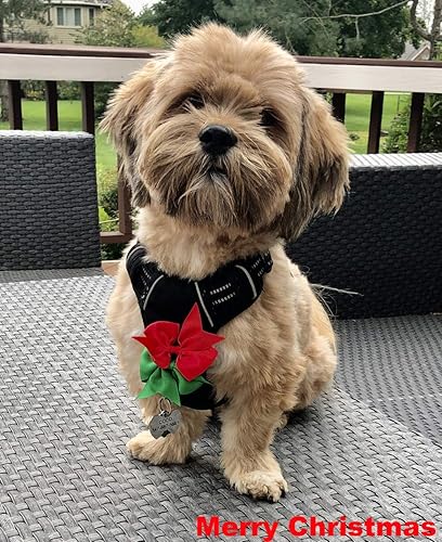 Miniatura 6 de Suministros lindos para cachorros, accesorios para perros grandes, lazo para el pelo de perro, lazos para el pelo de perro para perros medianos,