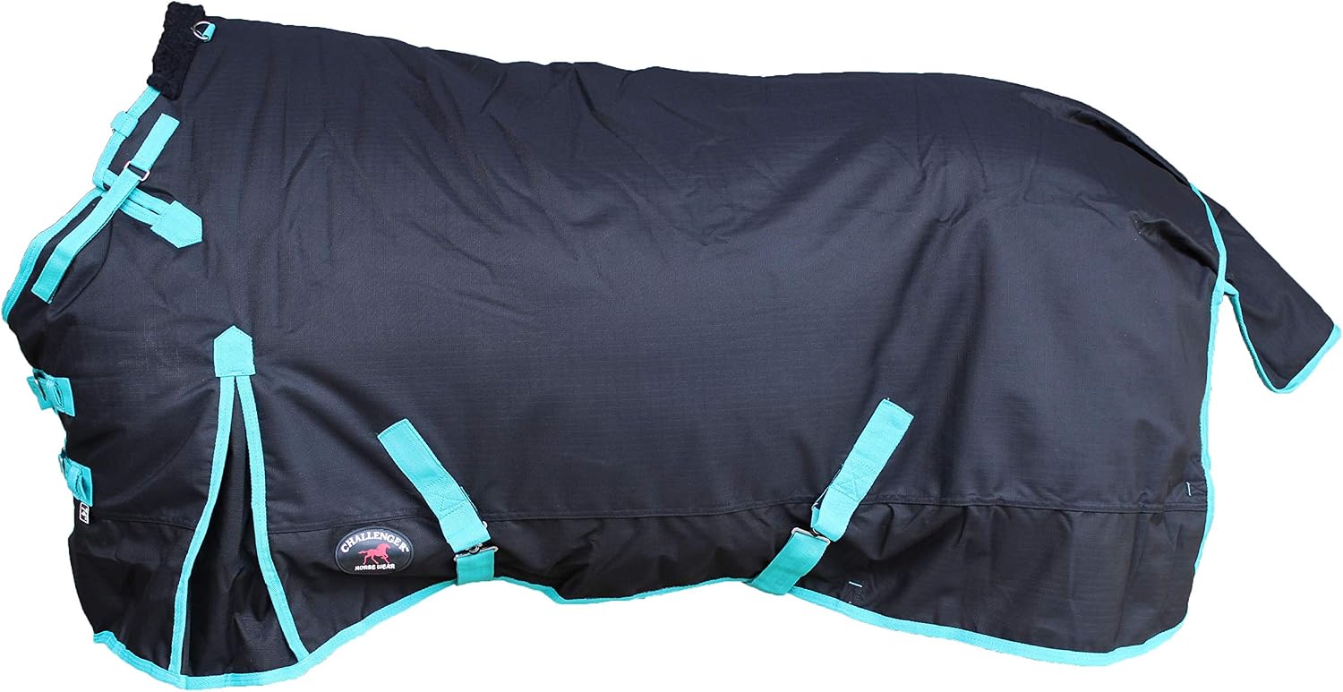 Challenger 1200D Turnout Waterproof Horse Winter Blanket Heavy Weight Turquoise 511