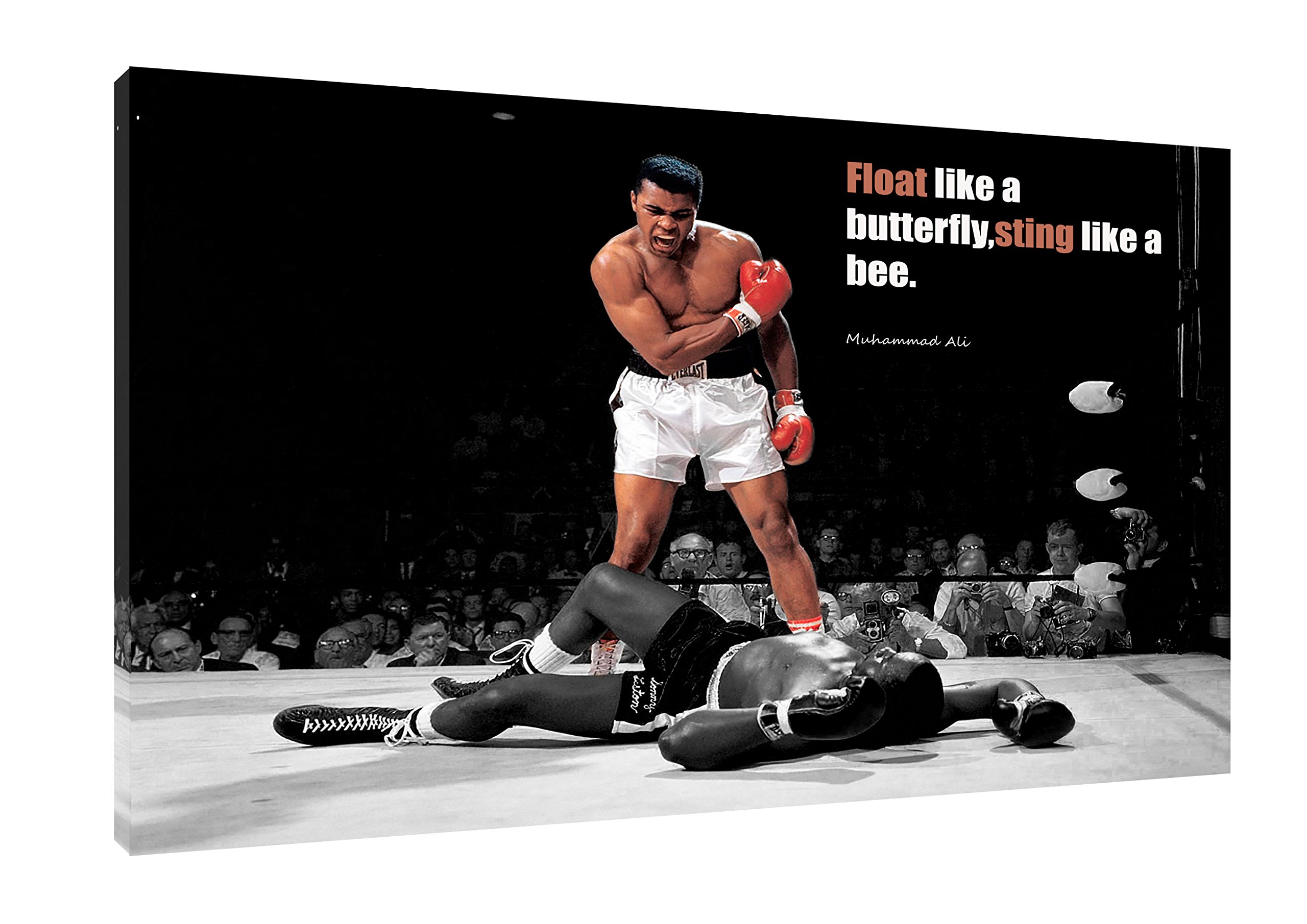 ARTSPRINTS Muhammad ALI Float Like A Butterfly Sting Like A BEE Photo ON Framed Canvas 16 x 12 inch -18mm Depth