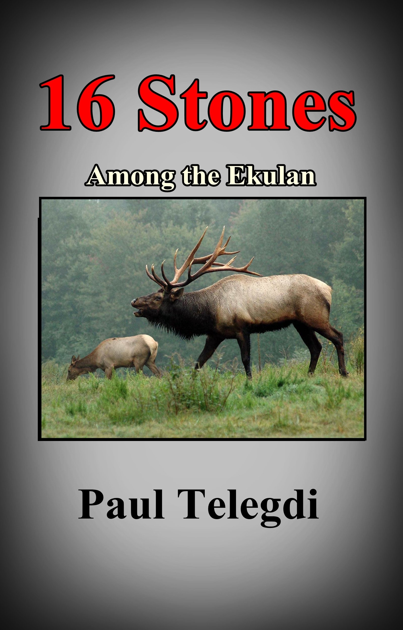 Sixteen Stones: Among the Ekulan (The Stone Series Book 3)