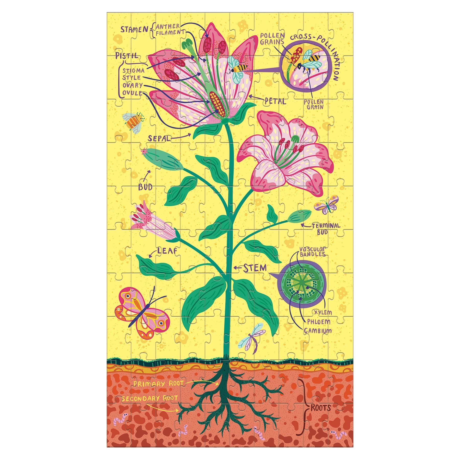 Plant Anatomy Science Puzzle Set from Mudpuppy - Includes Three 100 - Piece Puzzles with Colorful Illustrations, Ages 6+, Trifold Insert with Fun Science Facts Included - Image 4