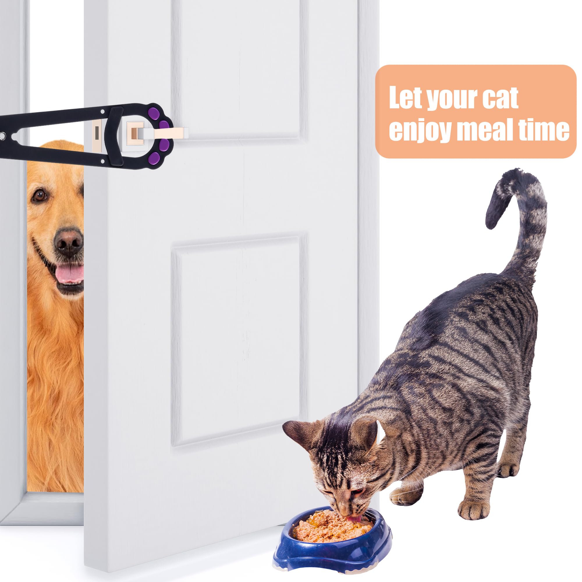 How to Keep Dog from Eating Cat Toys: Easy Tips That Work