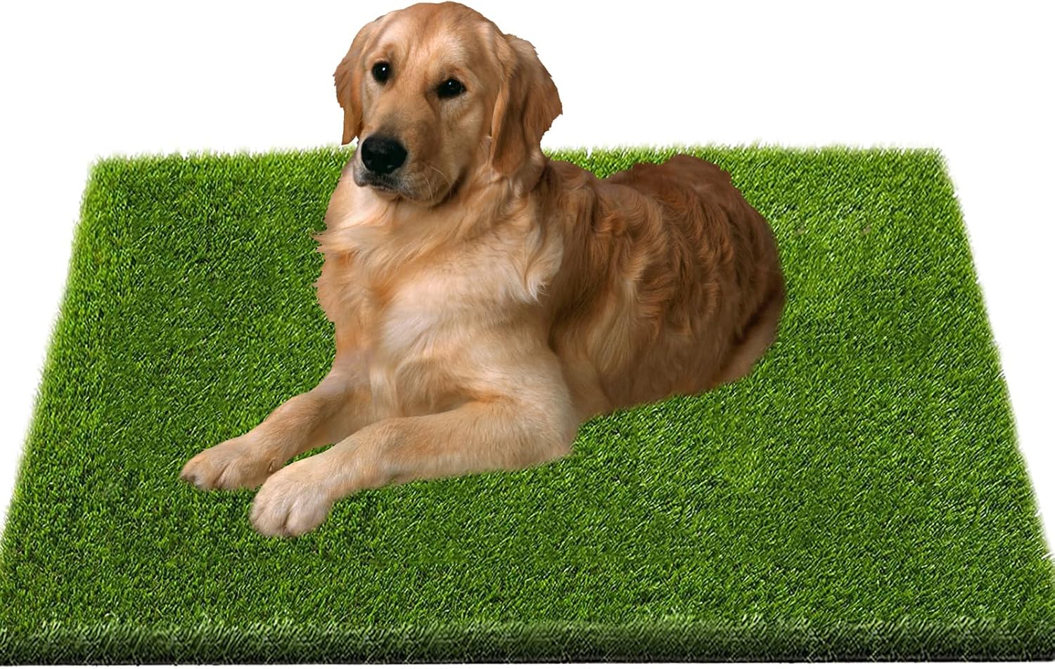 Artificial Grass 48inX32in Indoor and Outdoor Garden Home Decoration Flame Retardant and Fireproof Simulation Fake Grass,Easy to Clean with Drainage Holes(48x32 inch)