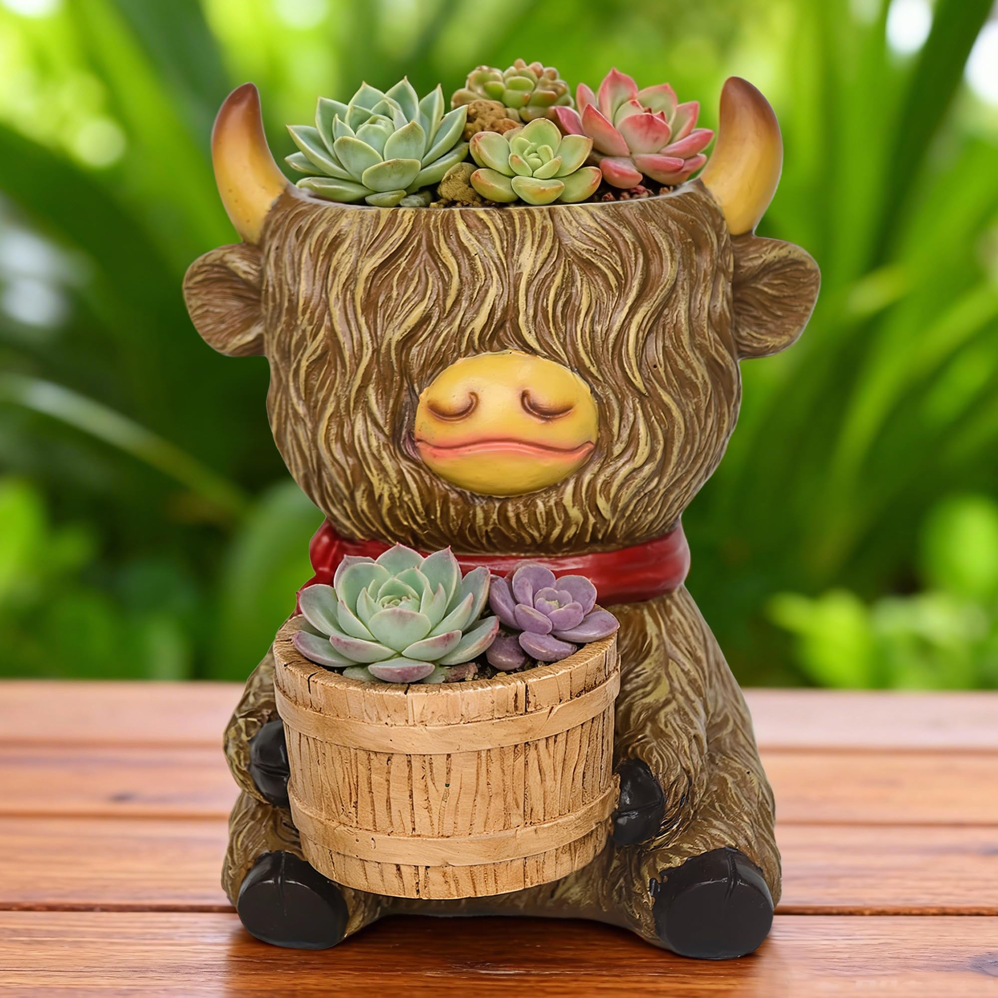 ViQuHaT 2-in-1 Scottish Highland Cow Succulent Plant Pot Set with Drainage