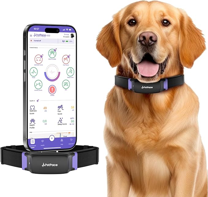 NEW Dog Health Monitor V3.0 by PetPace
