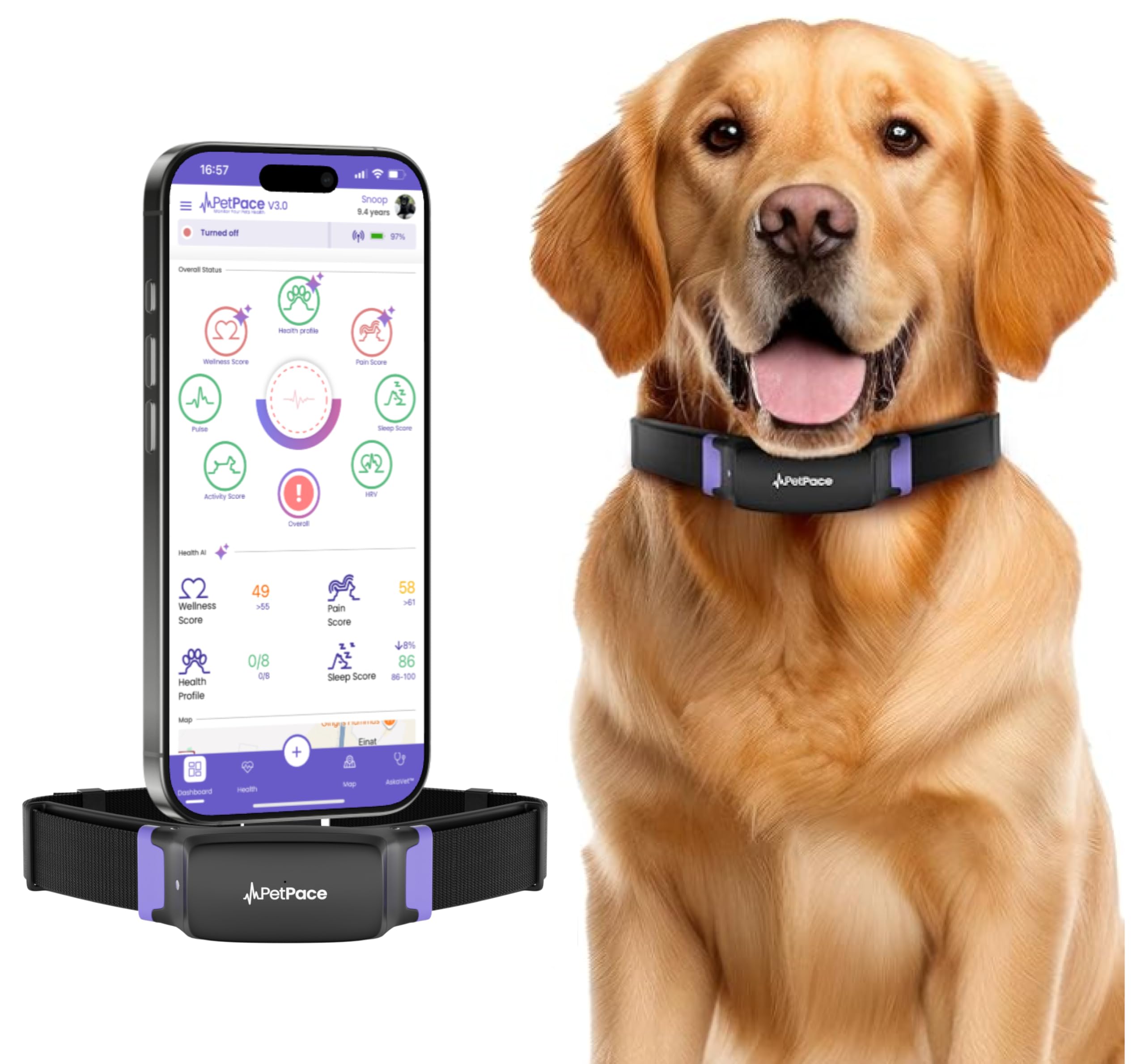 NEW Dog Health Monitor V3.0 by PetPace – AI Smart Collar with 24/7 Vital Signs, Pain & GPS Tracking, Telehealth AskaVet & Share With Your Vet, Smartwatch Sync – Subscription Required (Large)